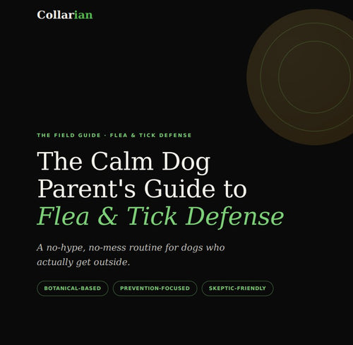 Tick & Flea Defense E-Book