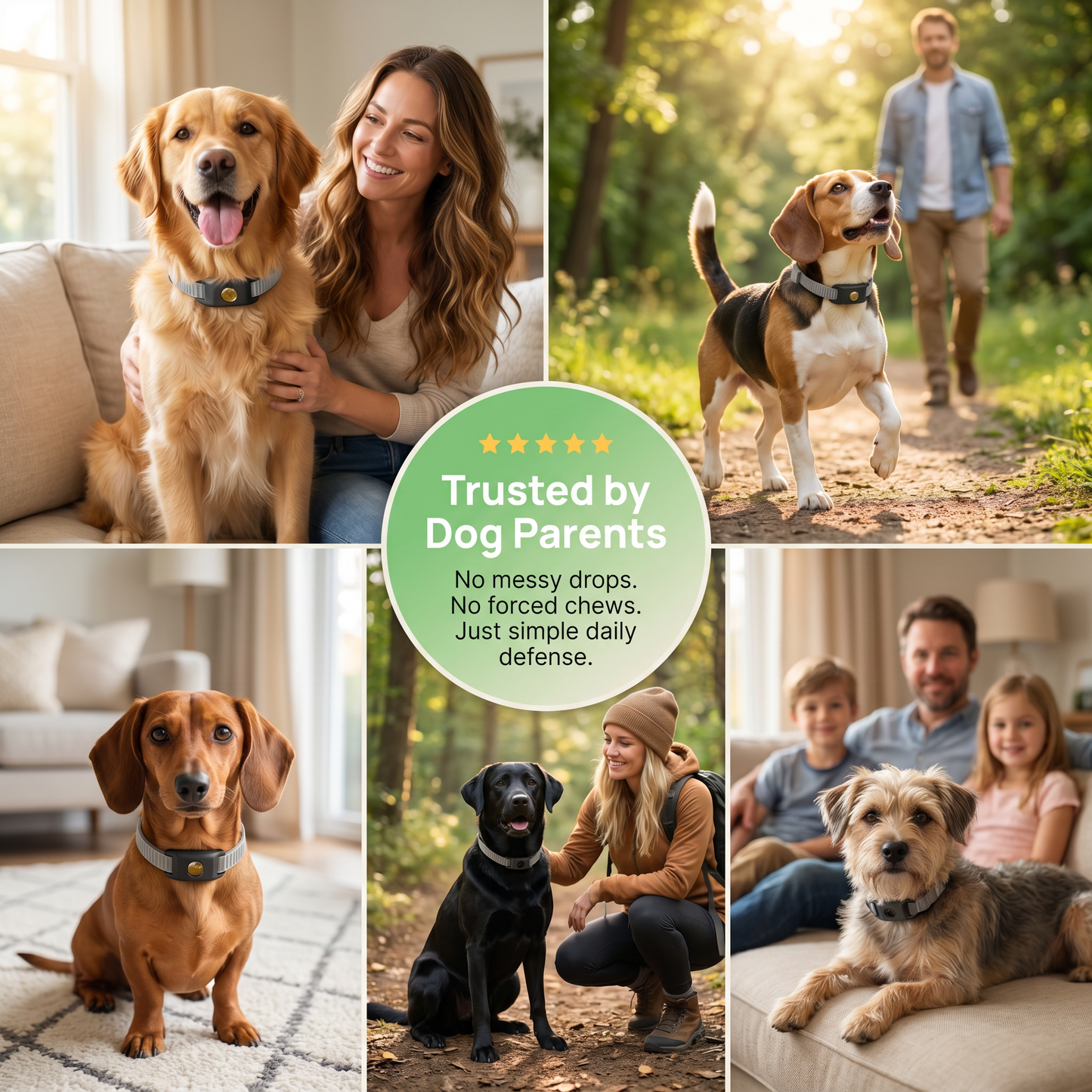 Collarian Botanical Flea & Tick Defense Collar